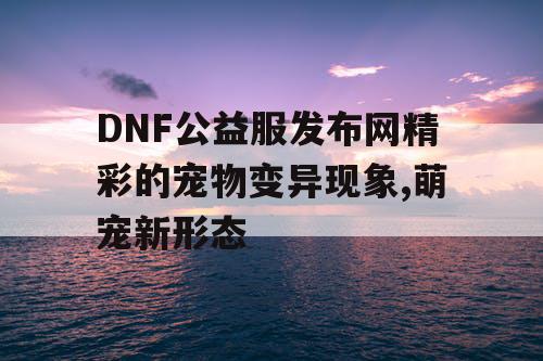 DNF公益服发布网精彩的宠物变异现象,萌宠新形态