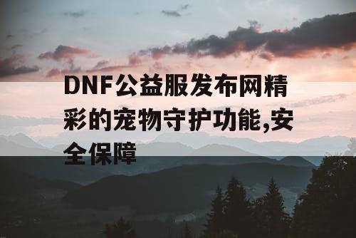 DNF公益服发布网精彩的宠物守护功能,安全保障