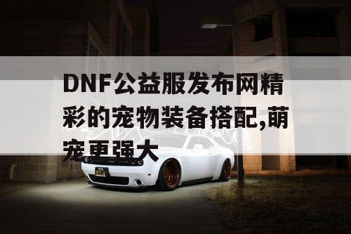 DNF公益服发布网精彩的宠物装备搭配,萌宠更强大