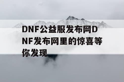 DNF公益服发布网DNF发布网里的惊喜等你发现