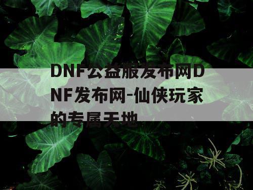 DNF公益服发布网DNF发布网-仙侠玩家的专属天地