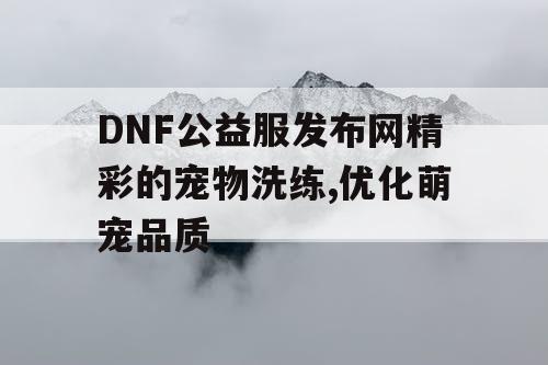 DNF公益服发布网精彩的宠物洗练,优化萌宠品质