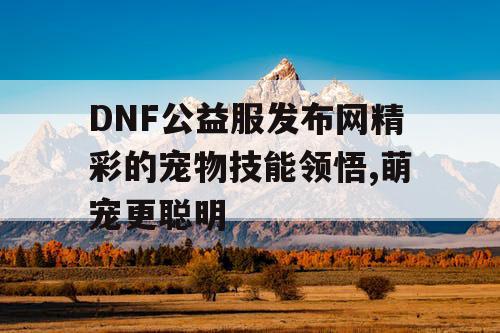 DNF公益服发布网精彩的宠物技能领悟,萌宠更聪明 DNF公益服发布网精彩的宠物技能领悟,萌宠更聪明