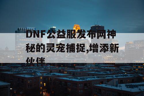 DNF公益服发布网神秘的灵宠捕捉,增添新伙伴