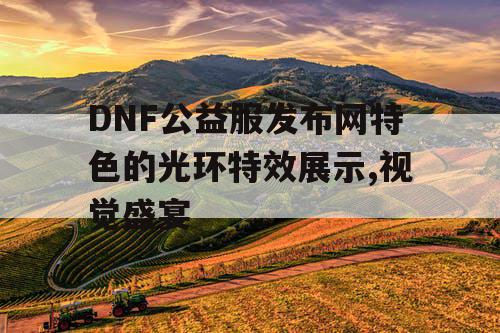 DNF公益服发布网特色的光环特效展示,视觉盛宴