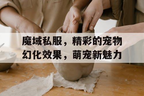 魔域私服，精彩的宠物幻化效果，萌宠新魅力