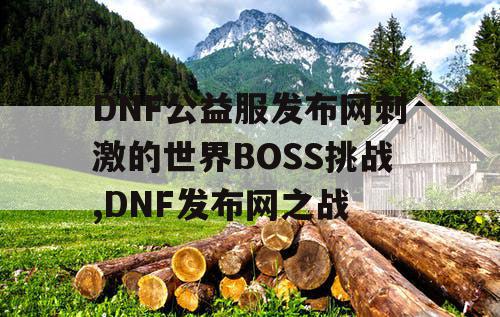 DNF公益服发布网刺激的世界BOSS挑战,DNF发布网之战