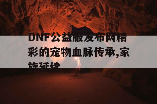 DNF公益服发布网精彩的宠物血脉传承,家族延续 DNF公益服发布网精彩的宠物血脉传承,家族延续