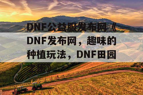 DNF公益服发布网《DNF发布网，趣味的种植玩法，DNF田园之乐》
