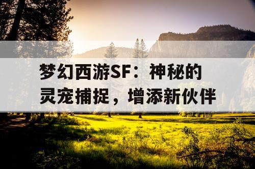 梦幻西游SF:神秘的灵宠捕捉,增添新伙伴 梦幻西游SF:神秘的灵宠捕捉,增添新伙伴