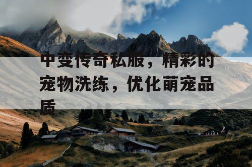 中变传奇私服，精彩的宠物洗练，优化萌宠品质