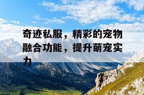 奇迹私服，精彩的宠物融合功能，提升萌宠实力