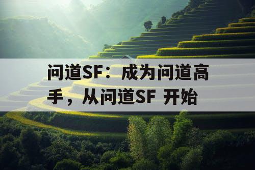 问道SF：成为问道高手，从问道SF 开始
