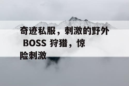 奇迹私服，刺激的野外 BOSS 狩猎，惊险刺激
