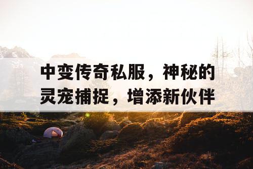 中变传奇私服，神秘的灵宠捕捉，增添新伙伴