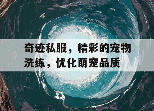 奇迹私服，精彩的宠物洗练，优化萌宠品质