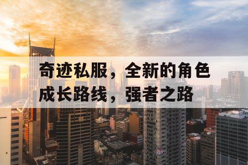 奇迹私服，全新的角色成长路线，强者之路