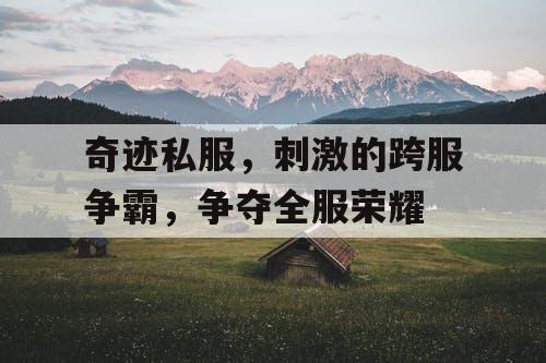 奇迹私服，刺激的跨服争霸，争夺全服荣耀