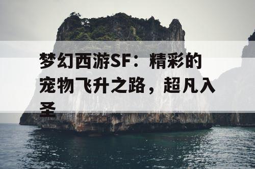 梦幻西游SF：精彩的宠物飞升之路，超凡入圣