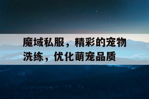 魔域私服,精彩的宠物洗练,优化萌宠品质 魔域私服,精彩的宠物洗练,优化萌宠品质
