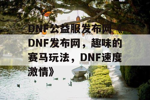 DNF公益服发布网《DNF发布网，趣味的赛马玩法，DNF速度激情》