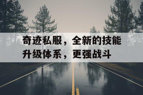 奇迹私服,全新的技能升级体系,更强战斗 奇迹私服,全新的技能升级体系,更强战斗