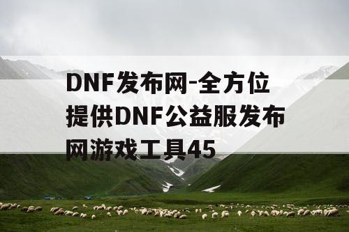 DNF发布网-全方位提供DNF公益服发布网游戏工具45
