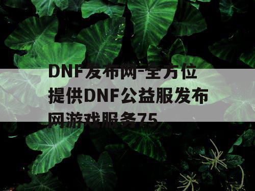 DNF发布网-全方位提供DNF公益服发布网游戏服务75