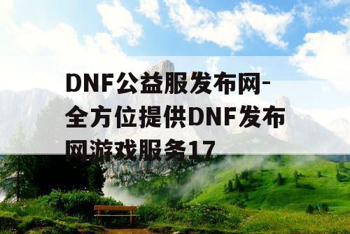 DNF公益服发布网-全方位提供DNF发布网游戏服务17