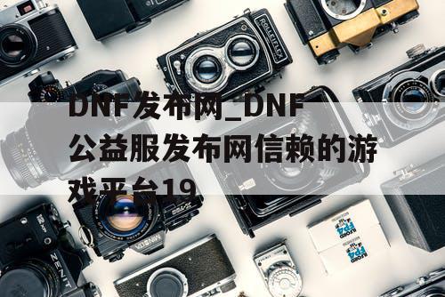 DNF发布网_DNF公益服发布网信赖的游戏平台19