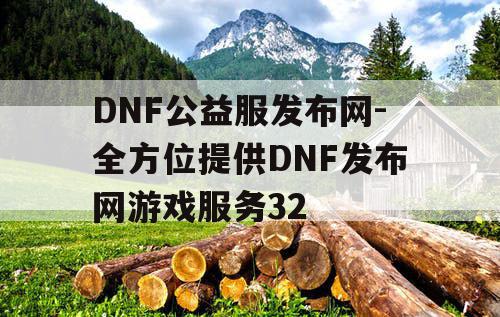 DNF公益服发布网-全方位提供DNF发布网游戏服务32
