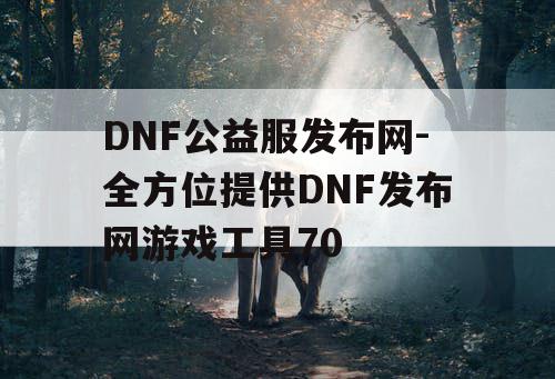DNF公益服发布网-全方位提供DNF发布网游戏工具70