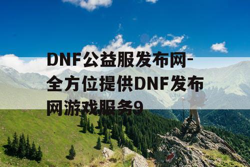 DNF公益服发布网-全方位提供DNF发布网游戏服务9