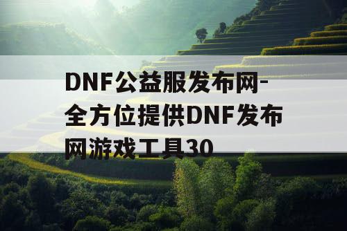 DNF公益服发布网-全方位提供DNF发布网游戏工具30