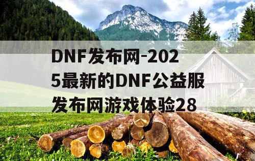 DNF发布网-2025最新的DNF公益服发布网游戏体验28