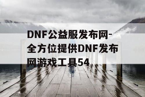 DNF公益服发布网-全方位提供DNF发布网游戏工具54