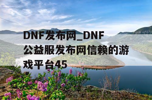 DNF发布网_DNF公益服发布网信赖的游戏平台45