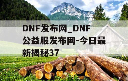 DNF发布网_DNF公益服发布网-今日最新揭秘37