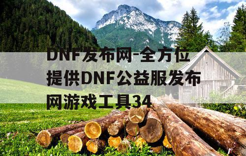 DNF发布网-全方位提供DNF公益服发布网游戏工具34