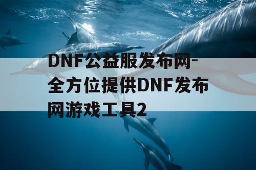 DNF公益服发布网-全方位提供DNF发布网游戏工具2