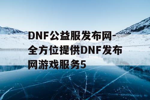 DNF公益服发布网-全方位提供DNF发布网游戏服务5