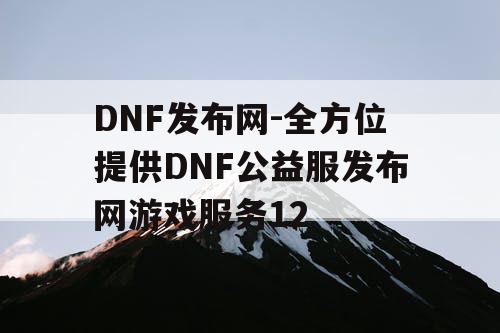 DNF发布网-全方位提供DNF公益服发布网游戏服务12