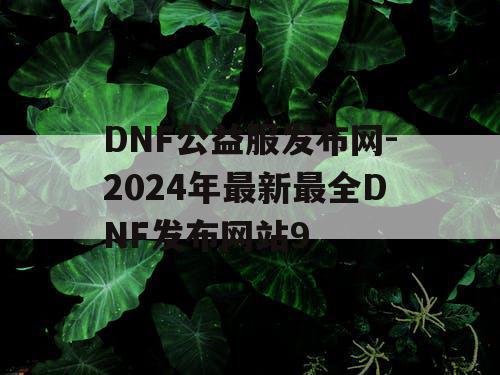 DNF公益服发布网-2024年最新最全DNF发布网站9