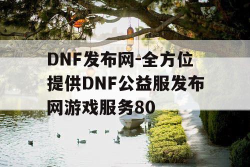 DNF发布网-全方位提供DNF公益服发布网游戏服务80