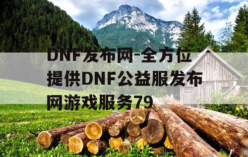 DNF发布网-全方位提供DNF公益服发布网游戏服务79