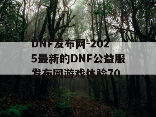 DNF发布网-2025最新的DNF公益服发布网游戏体验70