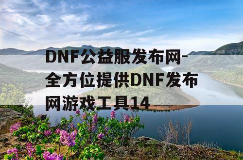 DNF公益服发布网-全方位提供DNF发布网游戏工具14