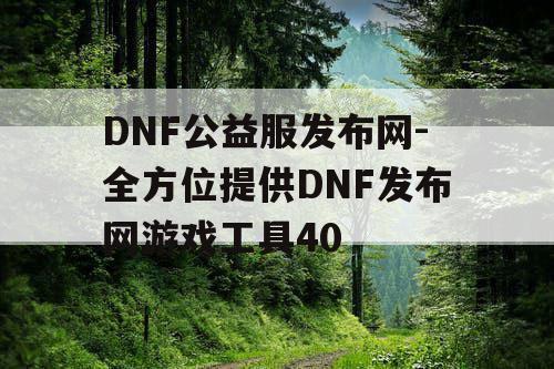 DNF公益服发布网-全方位提供DNF发布网游戏工具40