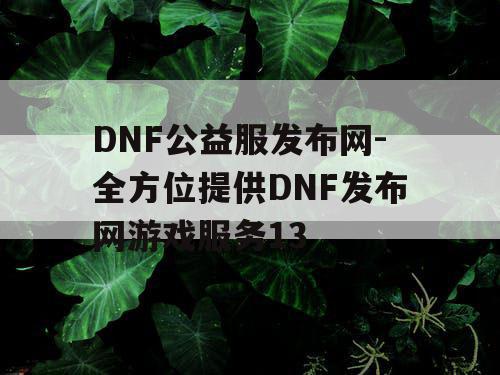 DNF公益服发布网-全方位提供DNF发布网游戏服务13