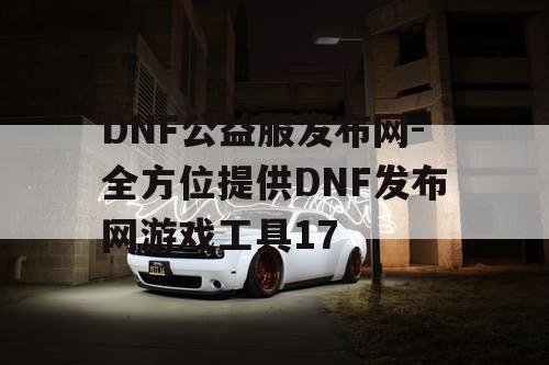 DNF公益服发布网-全方位提供DNF发布网游戏工具17